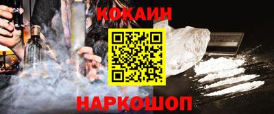 молекула духа Кингисепп