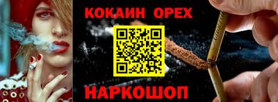 молекула духа Кингисепп