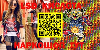 молекула духа Кингисепп
