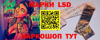 молекула духа Кингисепп