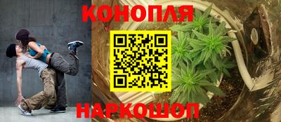 гашик Кинель