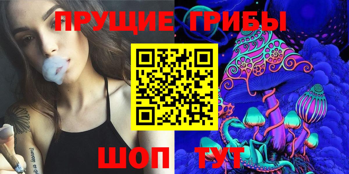 Псилоцибиновые грибы прущие грибы  что такое   Котельники  Вход с VPN 